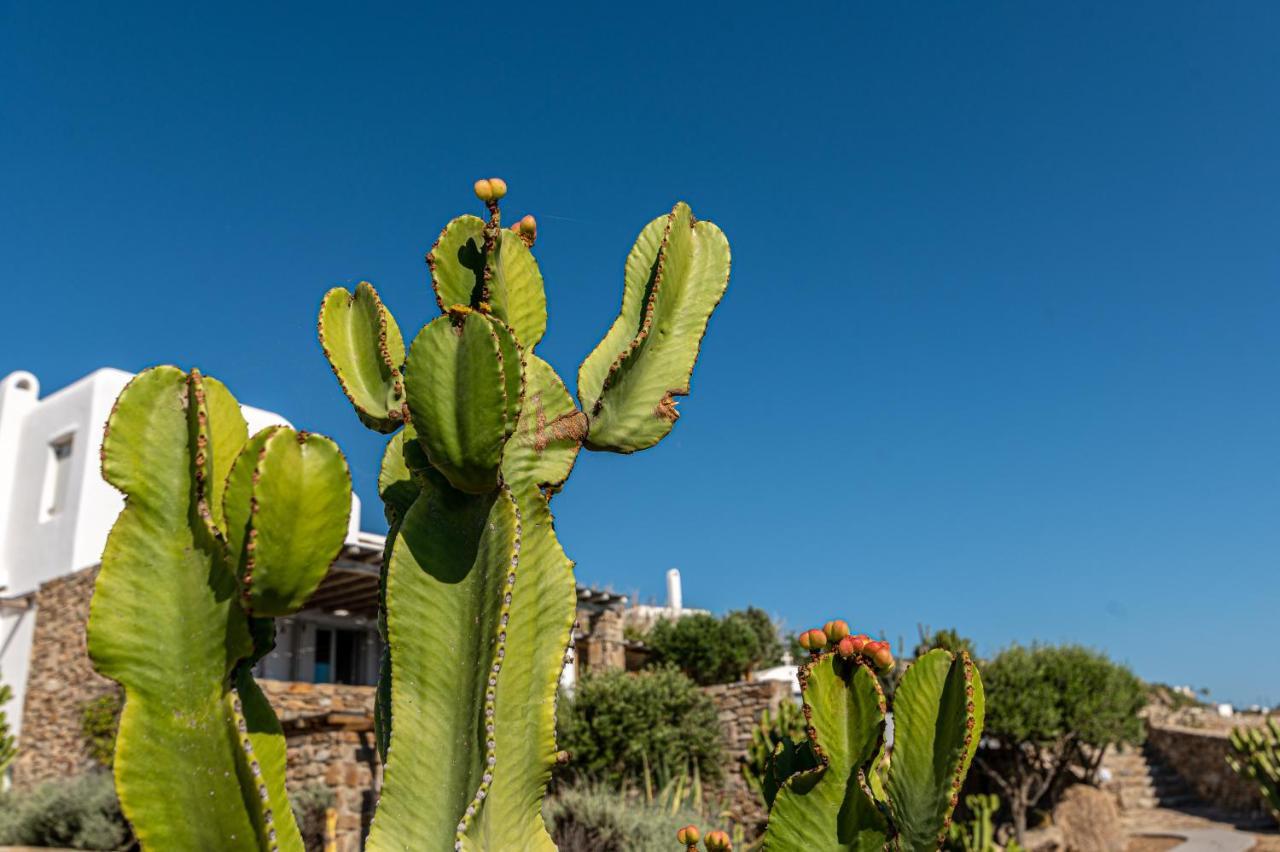 Villa Dreamlike Mykonos Ornos (Mykonos)